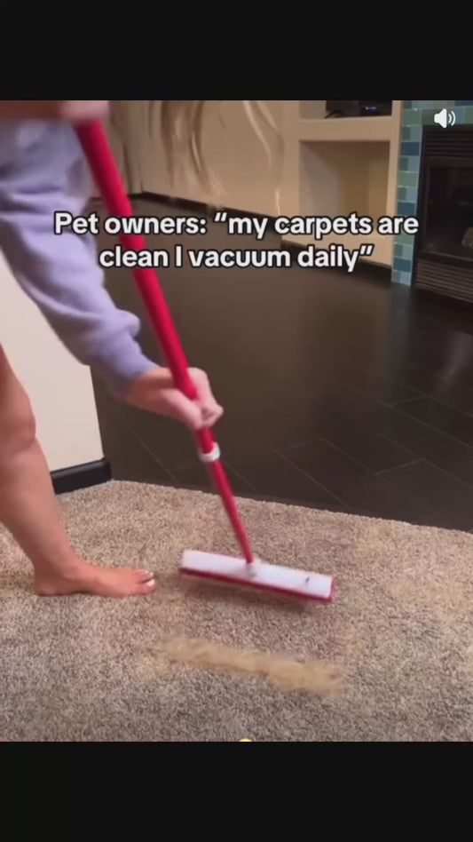 Amazing Pet Hair Broom