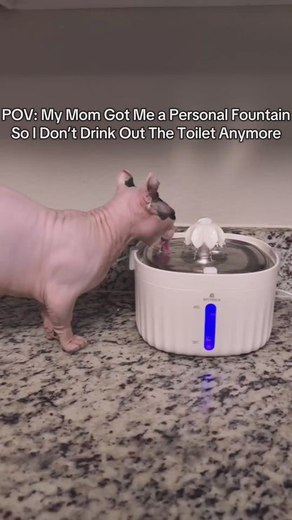 Automatic Pet Water Dispenser